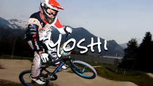 Yoshi Interview Link