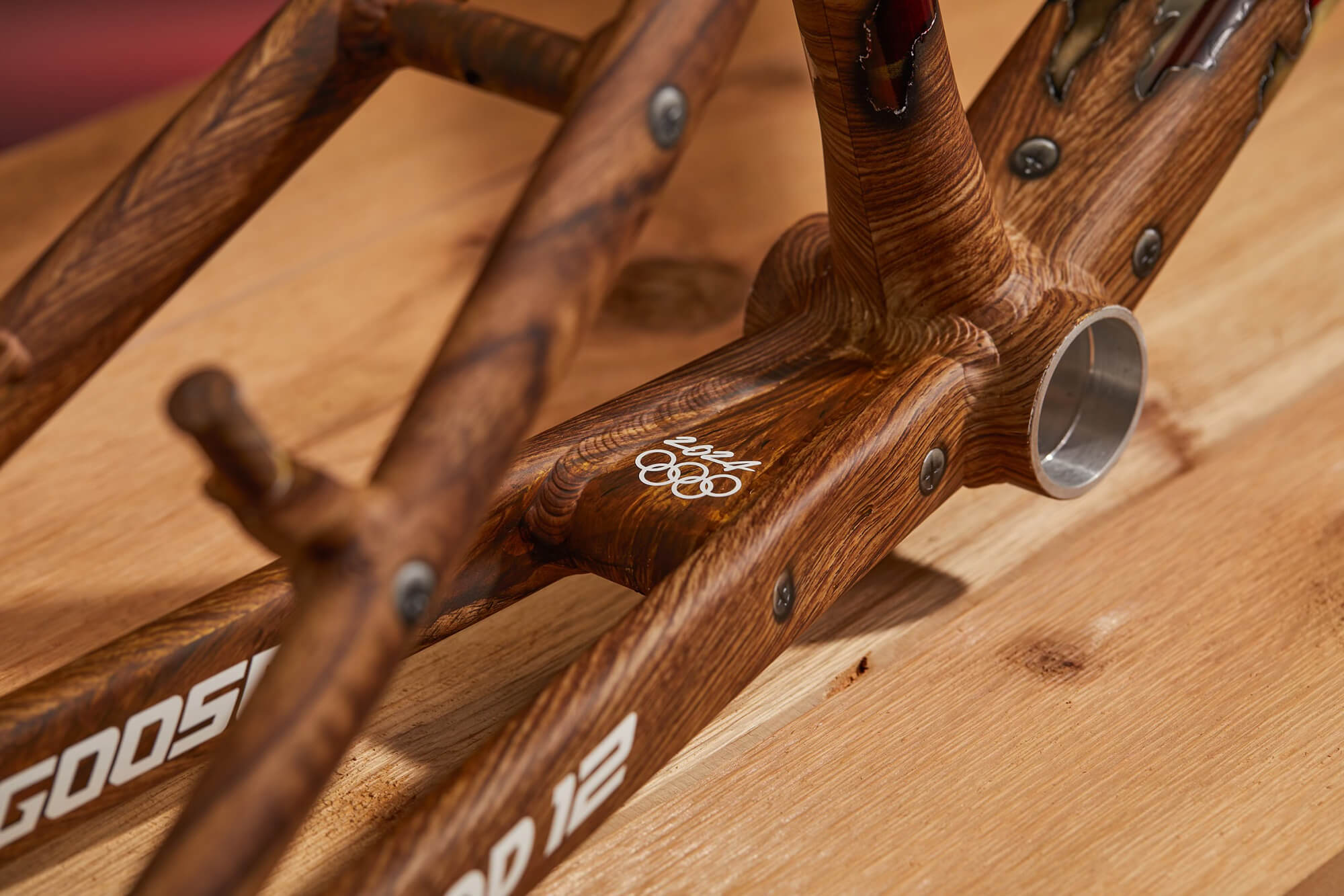 Cam Wood Mongoose Olympic Frame 04